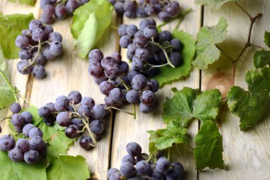 Ahşap bir yüzeyde mavi üzüm ve üzüm yaprakları. Üzüm hasadı. yumuşak odak.