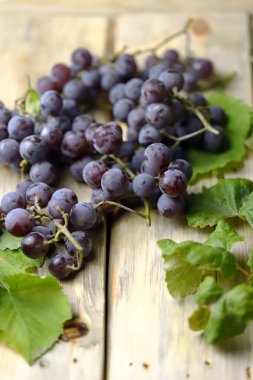 Ahşap bir yüzeyde mavi üzüm ve üzüm yaprakları. Üzüm hasadı. yumuşak odak.