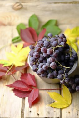 Sonbahar yapraklarının arka planında mavi üzümlü bir kase. Üzüm hasadı. Renkli sonbahar yaprakları.