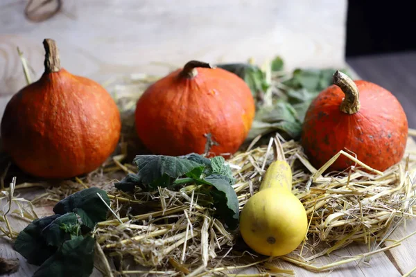 Outono Ainda Vida Com Abóboras Feno Humor Halloween — Fotografia de Stock