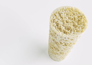 Kesit bir Gelişmiş osteoporoz - yüksek detaylar - sahne 4--3d render