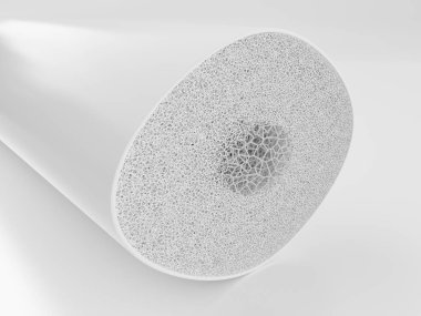Osteoporoz sahne 01 - kesit 03 03 - 3d render