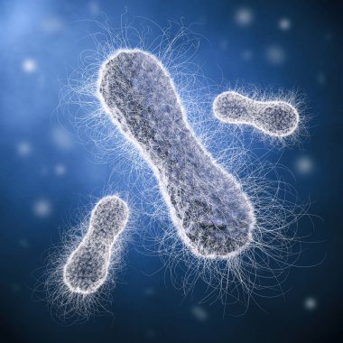 Çubuksu bakteriler mavi zemin üzerine