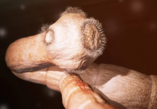 Mikroskop--3d render altında detaylı tenya