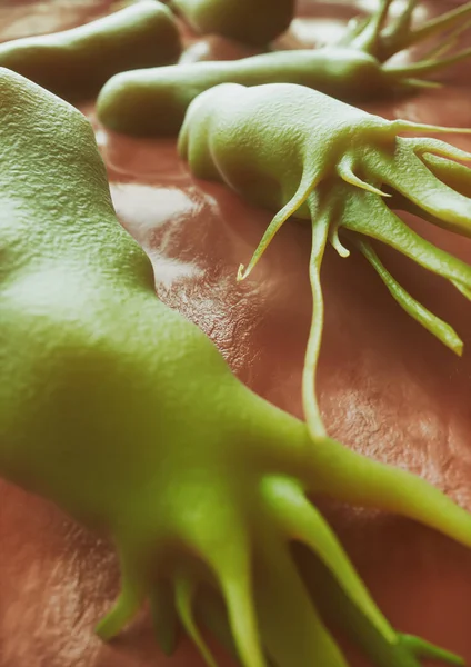 Campylobacter jejuni, elektron mikroskobu tarama - 3d render