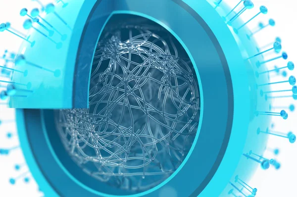 Inner life of a virus -- 3D Rendering