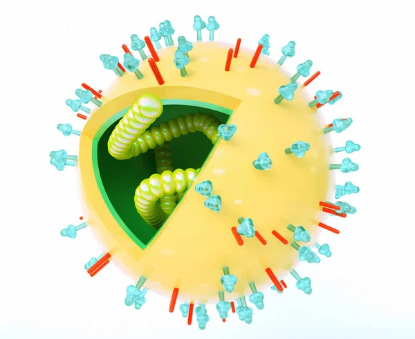 Virus Influenza Tampilan Dalam Rendering — Stok Foto