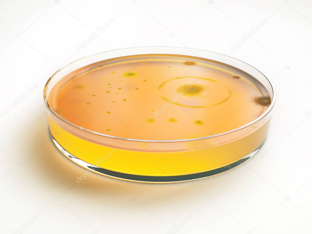 Bacteria colonies on petri dishes - 3D Rendering