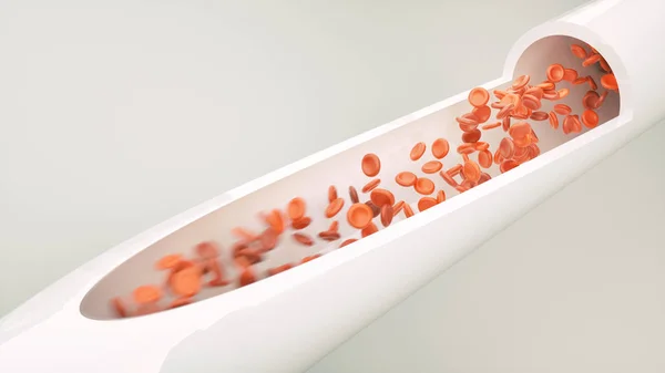 Клетки Крови Поперечном Сечении Артерии Рендеринг — стоковое фото