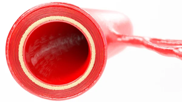 Red Vascular Representación Humano — Foto de Stock