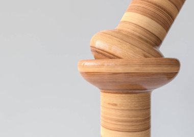 Condyloid Eklem - tahta görünümlü eklembacaklı kemikler - 3B oluşturma