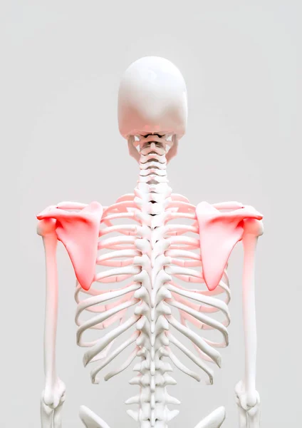 Shoulder Pain Rendering — Stock Photo, Image