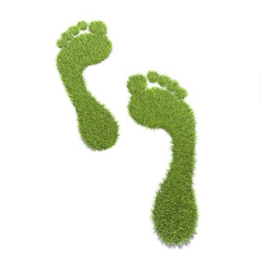 Barfoot gerçekçi bir otla kaplıdır.