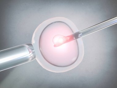 Vitro fertilizasyon - 3d render