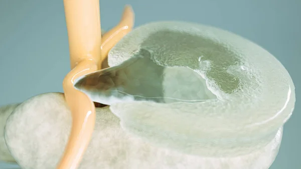 3d Rendering kadar yakın çekim olarak spinal disk hernisi