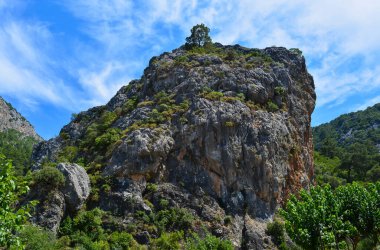 Ormandaki mavi gökyüzü ile Rock