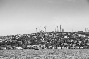 İstanbul Deniz, Türkiye'de belirli görünümü