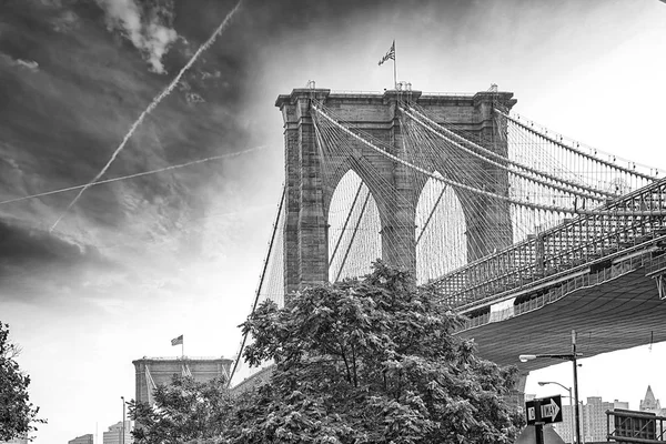 纽约曼哈顿布鲁克林大桥 — 图库照片