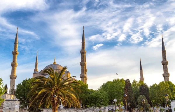 Katedral Santa Sofia Istambul Turki — Stok Foto