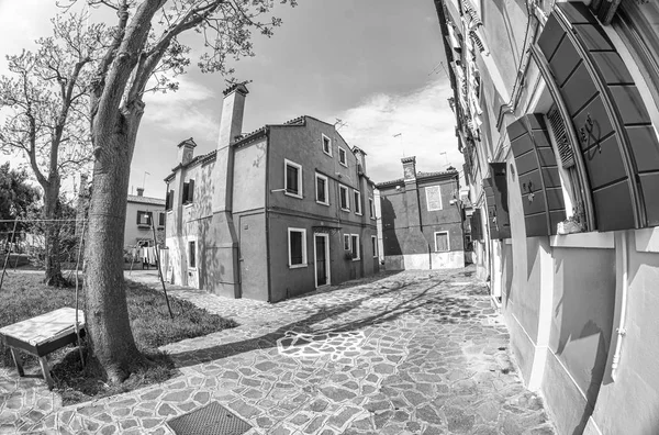 Casas Coloridas Isla Burano Venecia —  Fotos de Stock