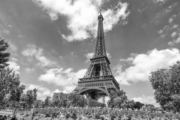 Eiffel Tower Flowers — Stock Photo, Image