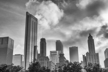 Chicago manzarası. Siyah ve beyaz