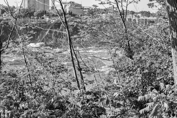 Προβολή Από Δέντρα Καταρράκτες Του Νιαγάρα — Φωτογραφία Αρχείου