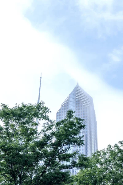 Bella Vista Edificio Chicago Stati Uniti America — Foto Stock