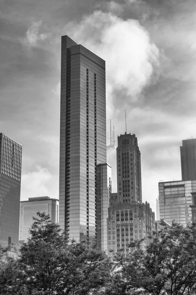 Beautiful View Buildings Chicago Usa — Stock Photo, Image