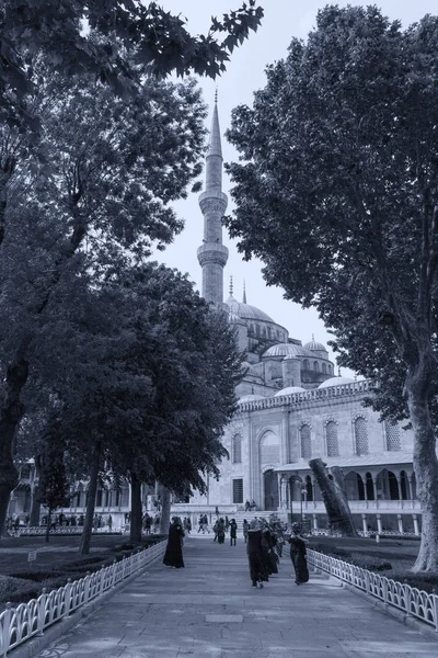 Обзор Мечети Стамбул — стоковое фото