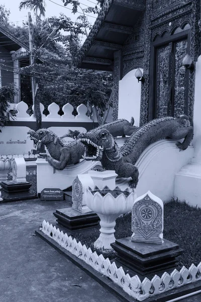 タイの観賞ドラゴンズ — ストック写真