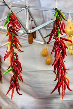 Kırmızı ve yeşil biber, Toskana, İtalya