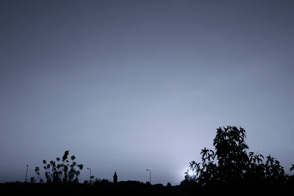 Bäume siloutte bei Sonnenuntergang — Stockfoto