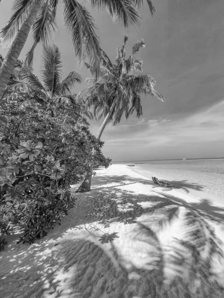 Typowa roślinność atoli na Malediwach — Zdjęcie stockowe