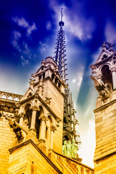 Dettagli Della Cattedrale Notre Dame Parigi — Foto Stock