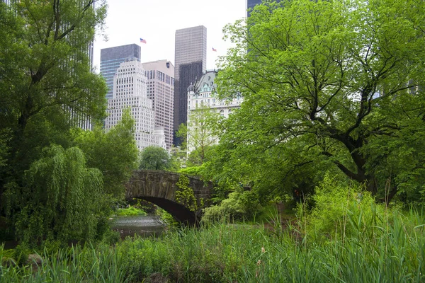 Nueva York Manhattan Central Park — Foto de Stock