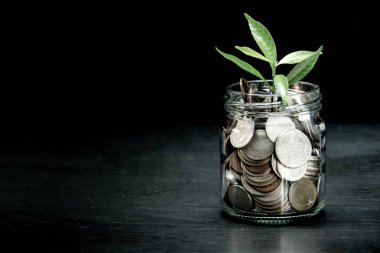 Şeffaf kavanozda paranın tepesinden küçük bir bitki. arkaplan conc