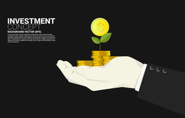 Små pengar träd på toppen av stack mynt dollar i affärsman hand. Begreppet framgångsrik investering och tillväxt i näringslivet — Stock vektor