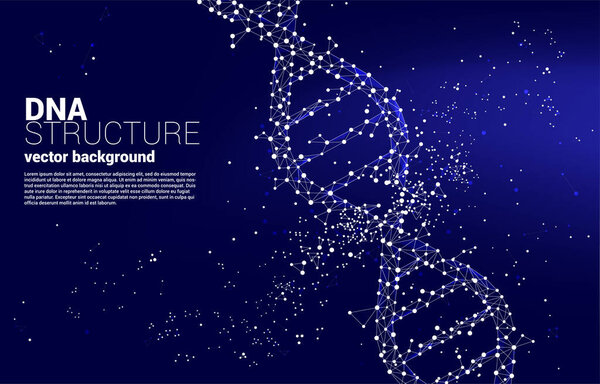 vector DNA genetic structure from dot connect line polygon. background concept for biotechnology and biology scientific.