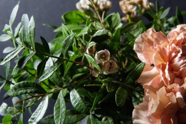 Karanfil ve fıstık dal