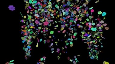 Çiçek renkli konfeti patlayabilir--dan farklı açı. Tatil, eğlence, patlama, sevinç, mutluluk, kutlama, düğün, aşk, doğum günü, romantizm, parti