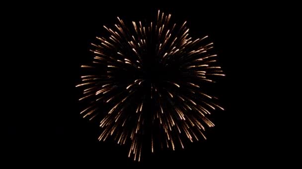 Fuochi Artificio Esplodono Sotto Forma Iscrizione Felice Luglio — Video Stock