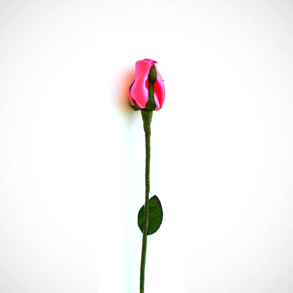 Beautiful Roses Made Fabric Valentine Day White Blackground — Stock Photo, Image
