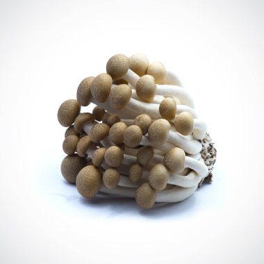 Beyaz arkaplanda kırmızı elma