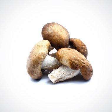 Beyaz arkaplanda kırmızı elma