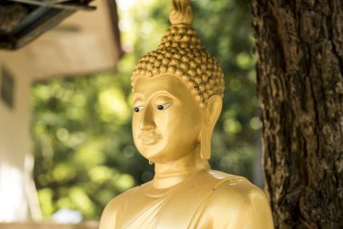 Tayland'da Buda heykeli Altın.
