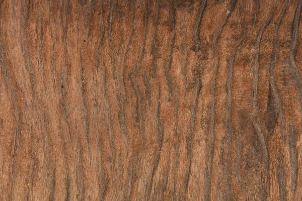 De oude hout achtergronden texturen. — Stockfoto
