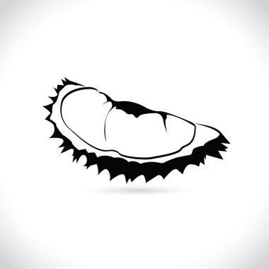 Beyaz arkaplanda durian, logo ve simge durian vektörü izole edildi.