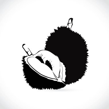 Beyaz arkaplanda durian, logo ve simge durian vektörü izole edildi.