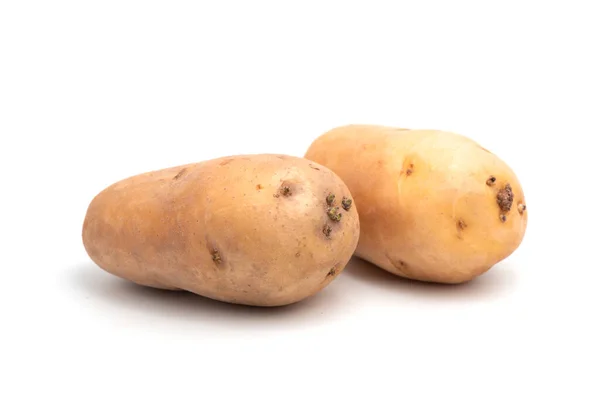 Fresh Potato Isolated White Background — Stock Photo, Image